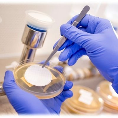 Non Sterile Hydrophilic Nylon Membrane Filter For HPLC Sample Preparation