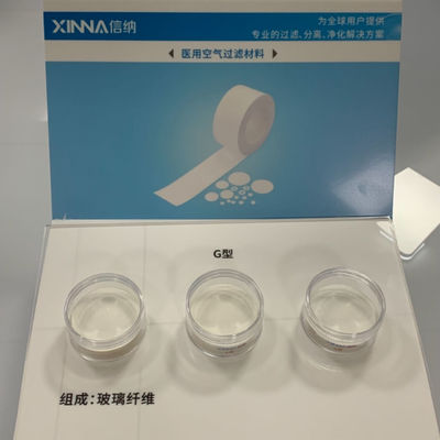 Microporous Hydrophobic Glass Fiber Membrane Filter Equivalent to GVS GF Membrane