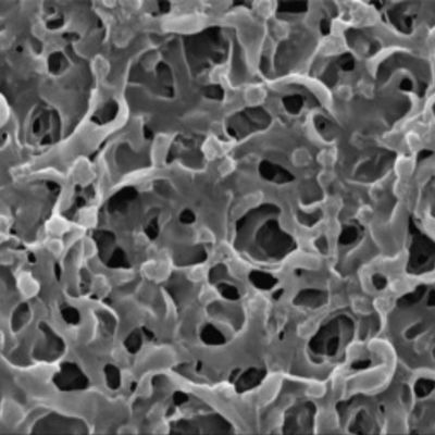 0.45 Micron PVDF Membrane Disc Filter Hydrophobic Polyvinylidene Fluoride Filter