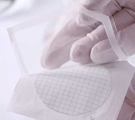 0.22um 47mm Sterile MCE CN-CA Microporous Filter Membrane For Microbial Limit Test Individual Packed