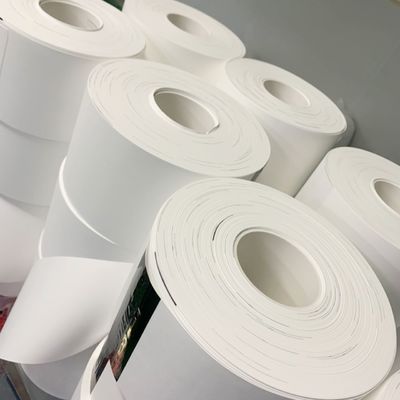 calidad  0.1µM - 5µM Pore Size Nylon (Polyamide) Membrane Filter Circles fábrica