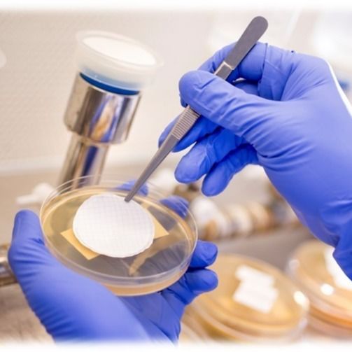 Non Sterile Hydrophilic Nylon Membrane Filter For HPLC Sample Preparation